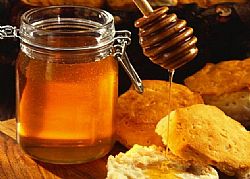 Μέλι - Βασιλικός Πολτός