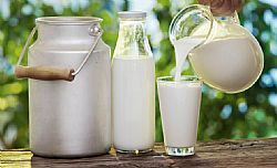 Γάλα - Γιαούρτι