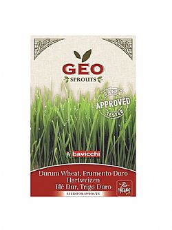 Βιολογικοί Σπόροι Σιταριού  80γρ GEO