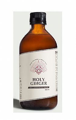 Τονωτικό Μείγμα Ginger, Λεμόνι & Μέλι Aνθεων 500gr HOLY GINGER