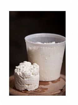 Ανθότυρο Νάξου ΚΟΥΦΟΠΟΥΛΟΣ