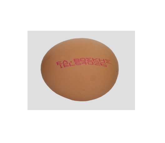 Αυγά Ελευθέρας Βοσκής 6τεμ. ΤΣΑΚΙΡΗ